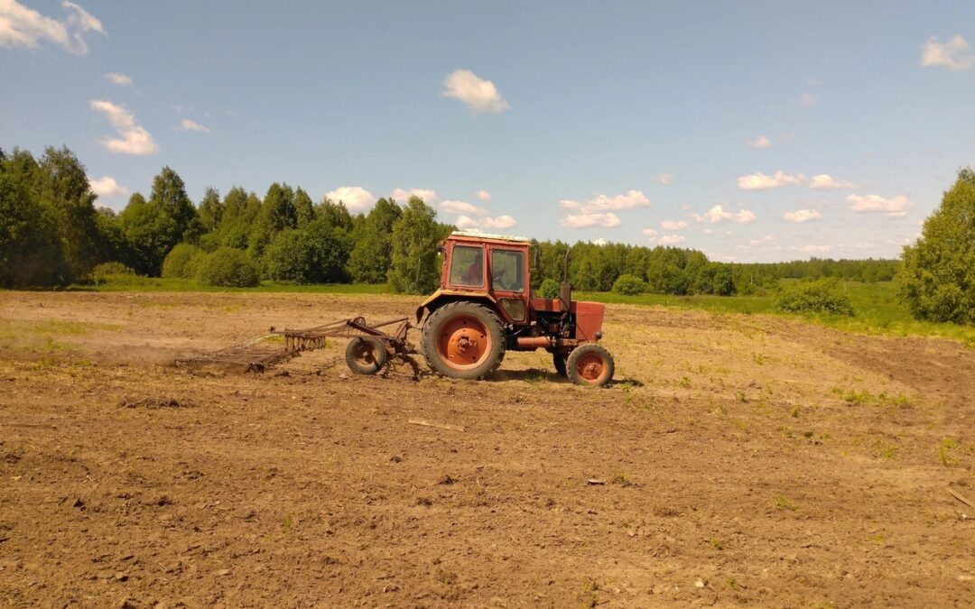 Закончилась подготовка территории для нового военно-тактического полигона в летнем лагере АНО КСЦ «Казачий острог», рядом с д. Осиновка